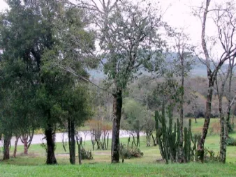 La Paulita