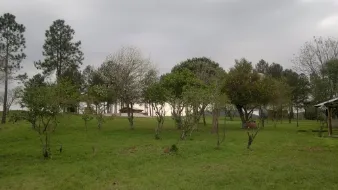 La Paulita