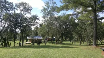 La Paulita