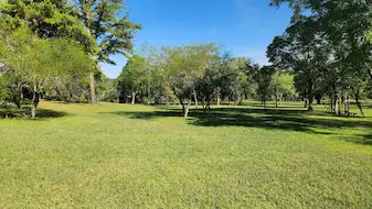 La Paulita