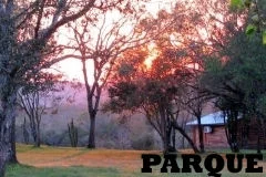 Parque y Arroyo