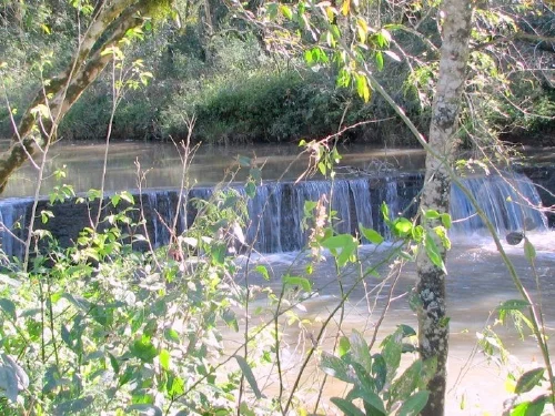 La Paulita