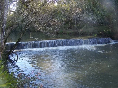 La Paulita