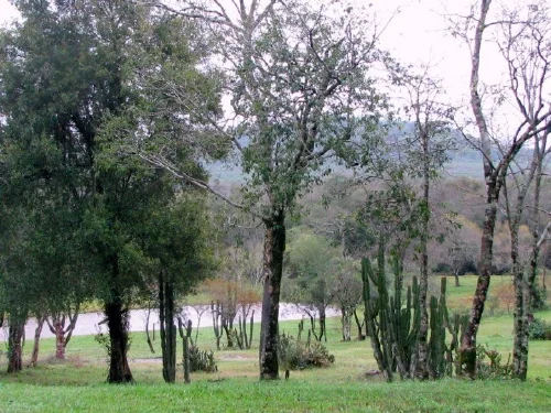 La Paulita