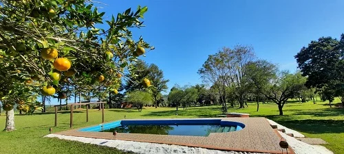 La Paulita