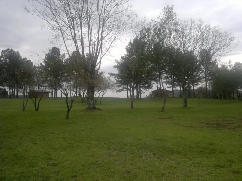 La Paulita