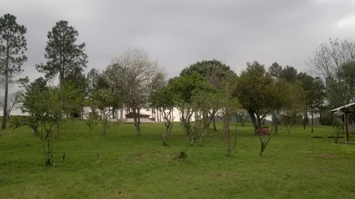 La Paulita