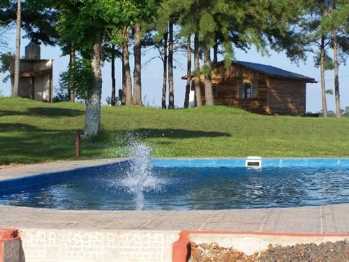 La Paulita