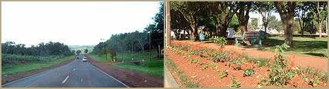 Jardin America Misiones